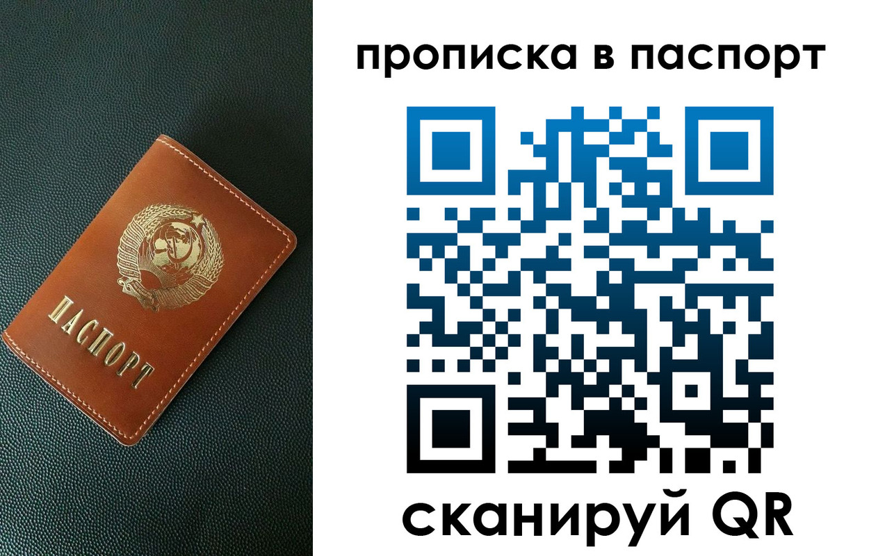купить прописку в Бабаево